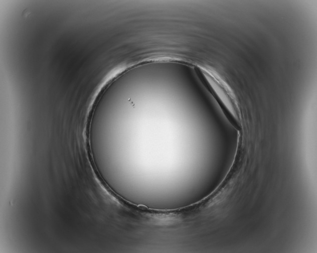X0000086241189200704051212