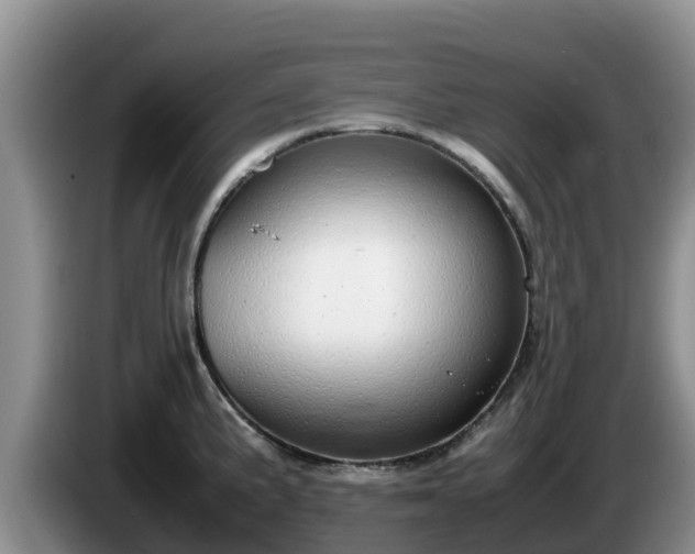X0000086241191200704051212