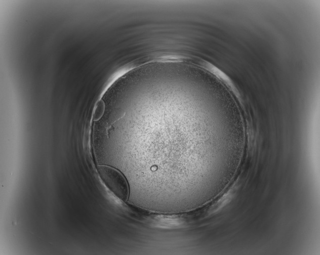 X0000086241194200704051212