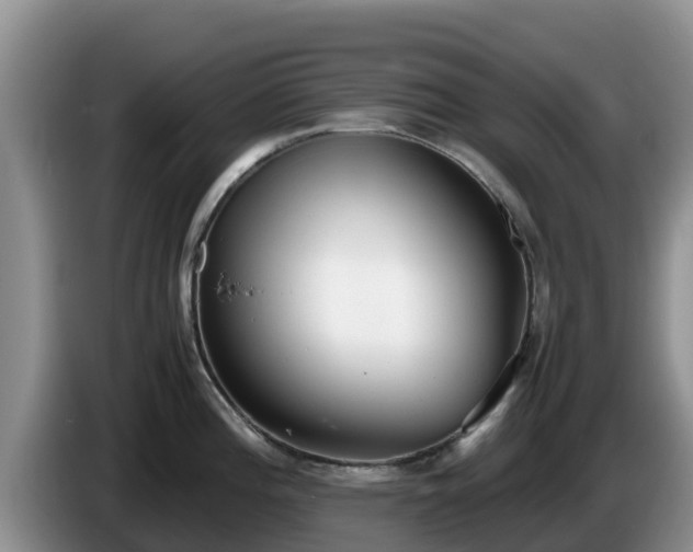 X0000086241196200704051212