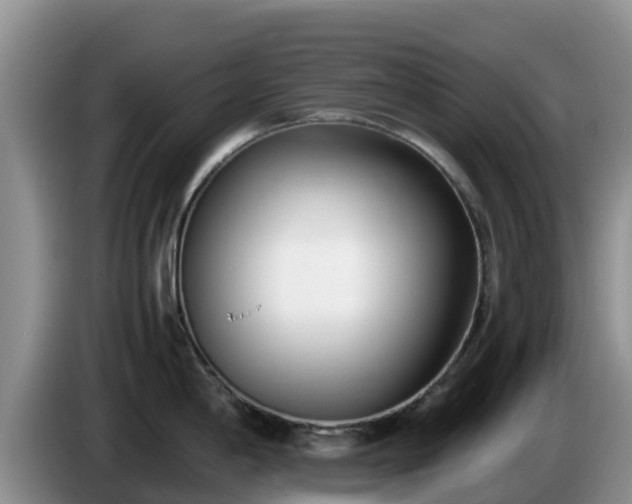 X0000086241198200704051212