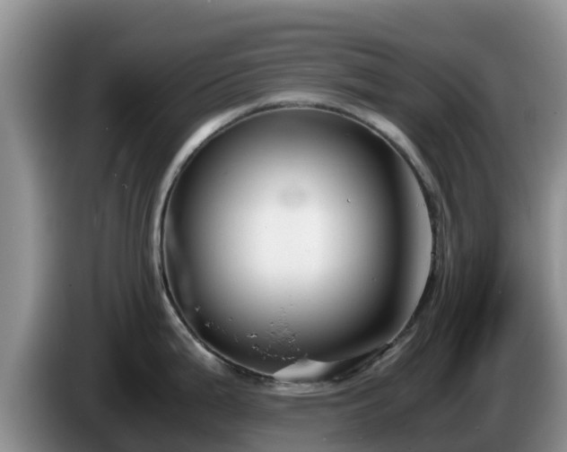 X0000086241199200704051212