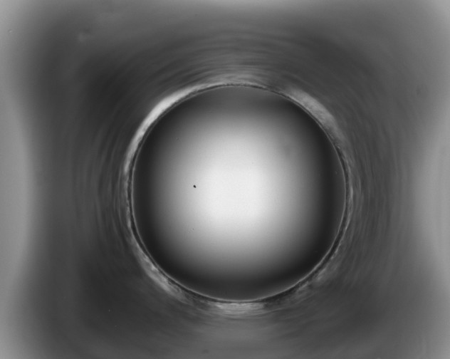 X0000086241200200704051212