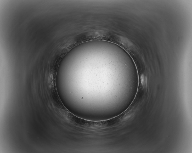 X0000086241203200704051211