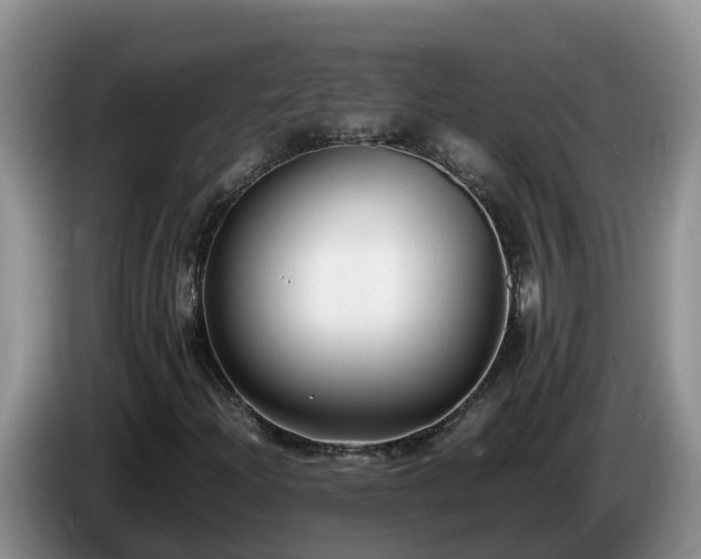 X0000086241204200704051211