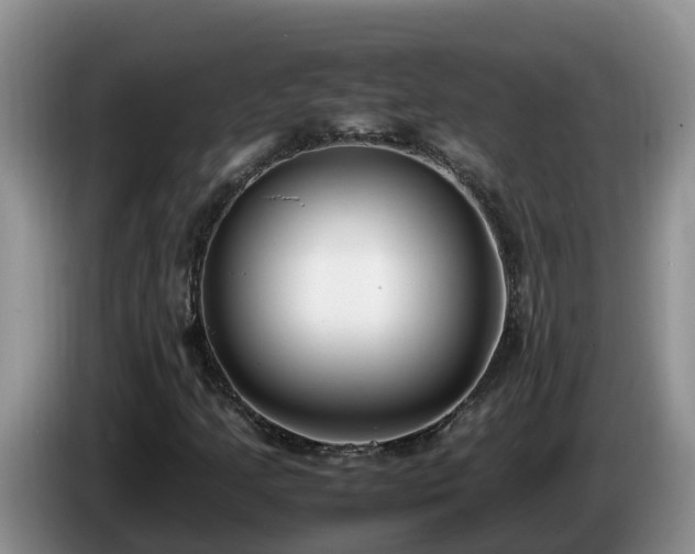 X0000086241205200704051211