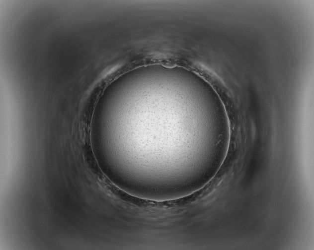 X0000086241207200704051211