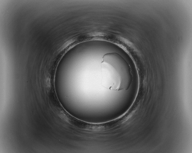 X0000086241209200704051211