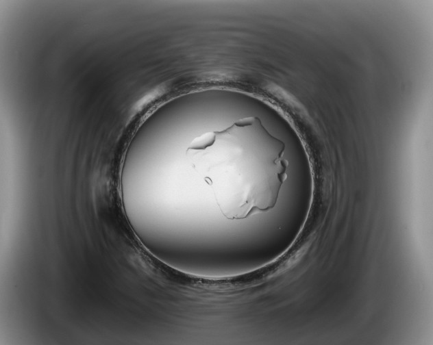 X0000086241210200704051211