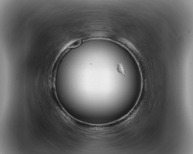 X0000086241212200704051211