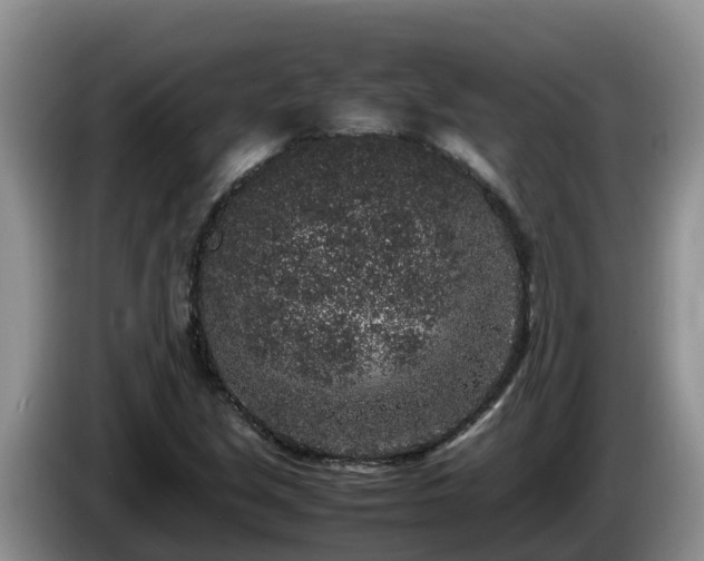 X0000086241213200704051211