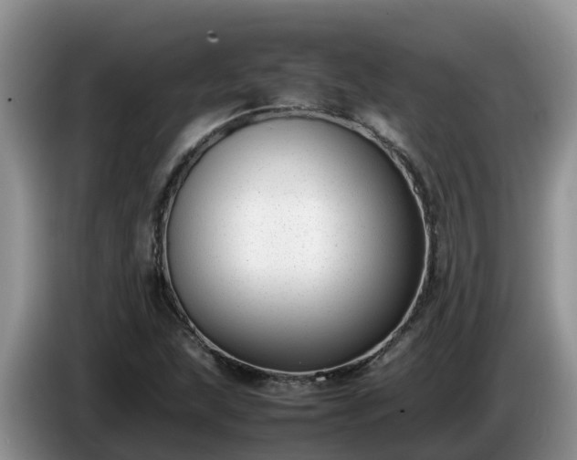 X0000086241215200704051211