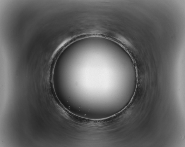 X0000086241216200704051211