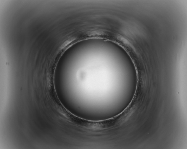 X0000086241217200704051211
