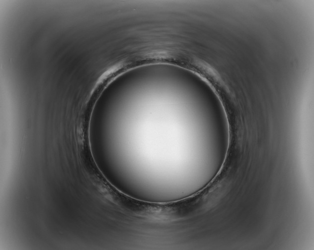X0000086241218200704051211