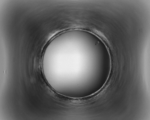 X0000086241220200704051211