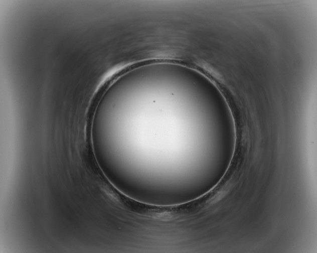 X0000086241222200704051211
