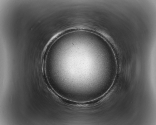 X0000086241224200704051211