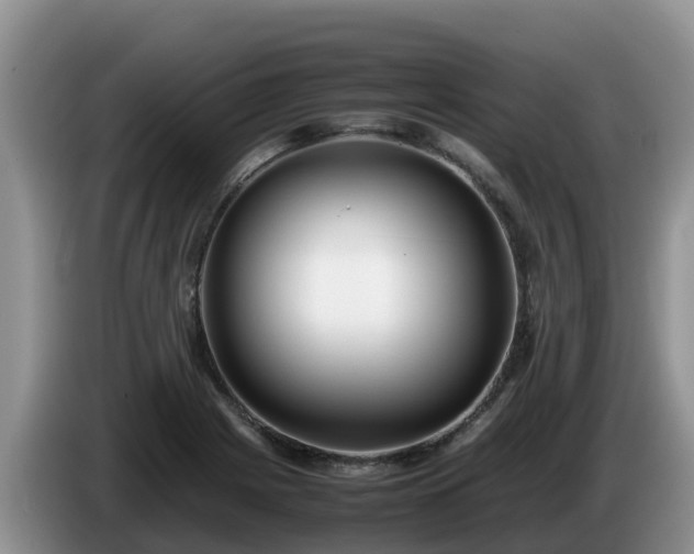 X0000086241225200704051211