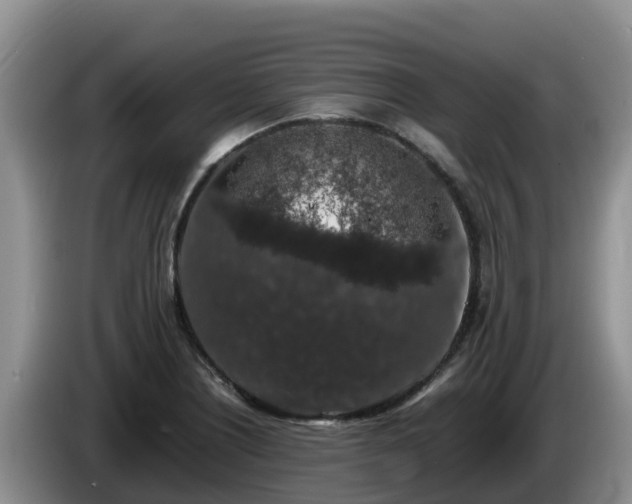X0000086241226200704051211