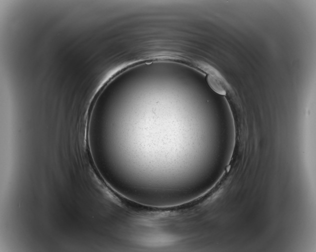 X0000086241228200704051212