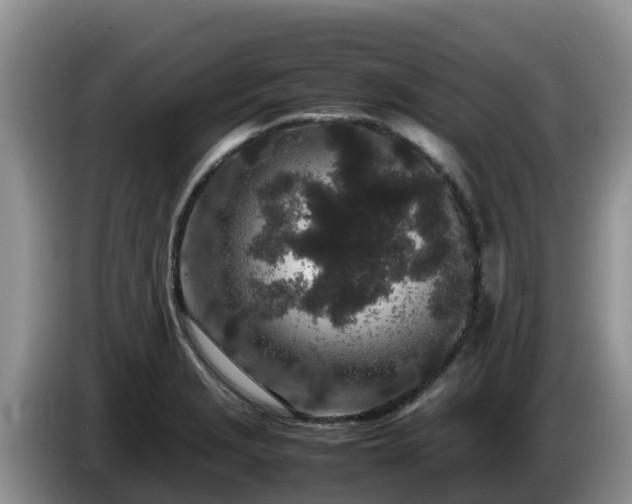 X0000086241229200704051212