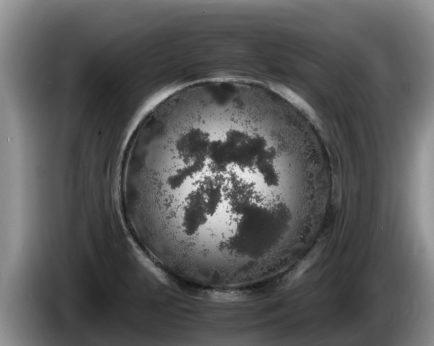 X0000086241231200704051212