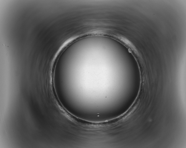 X0000086241232200704051212