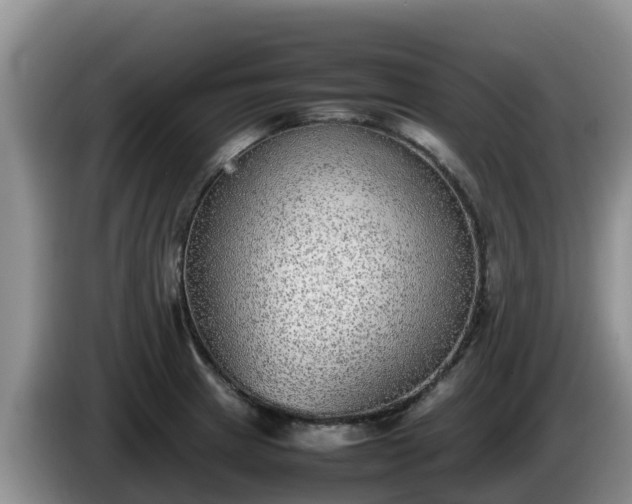 X0000086241233200704051212