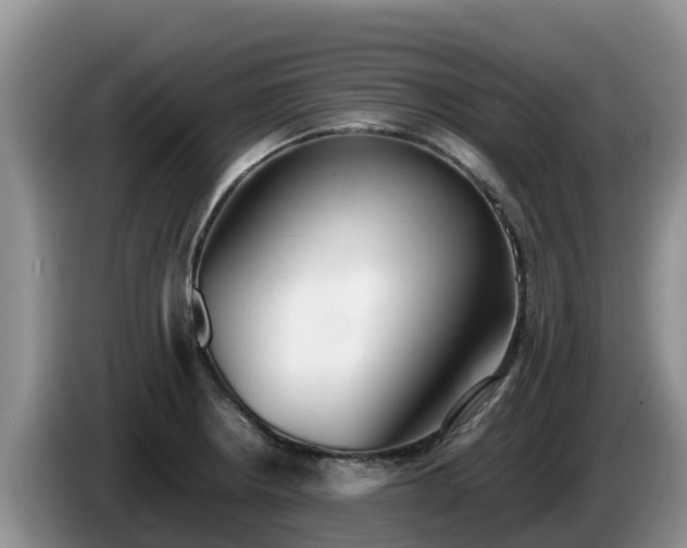 X0000086241234200704051212