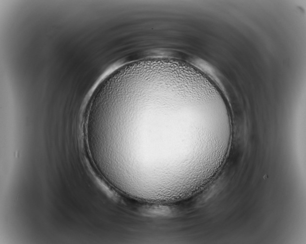X0000086241235200704051212