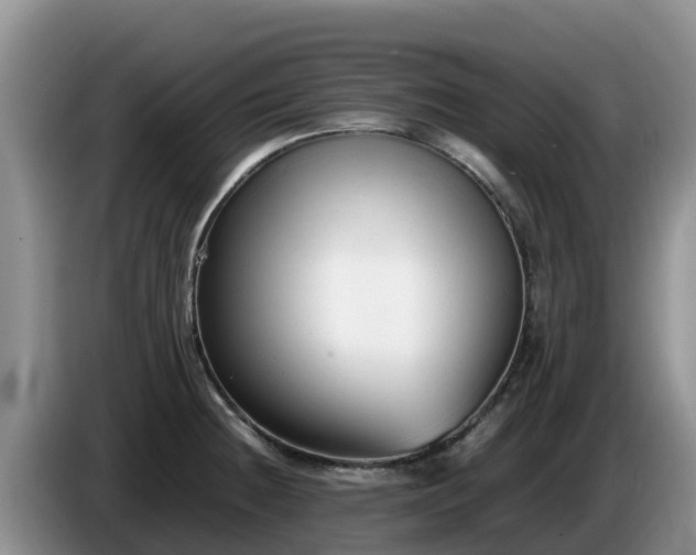 X0000086241236200704051212