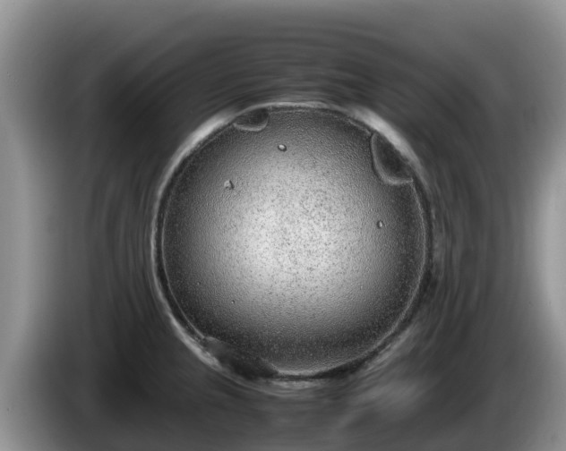 X0000086241237200704051212