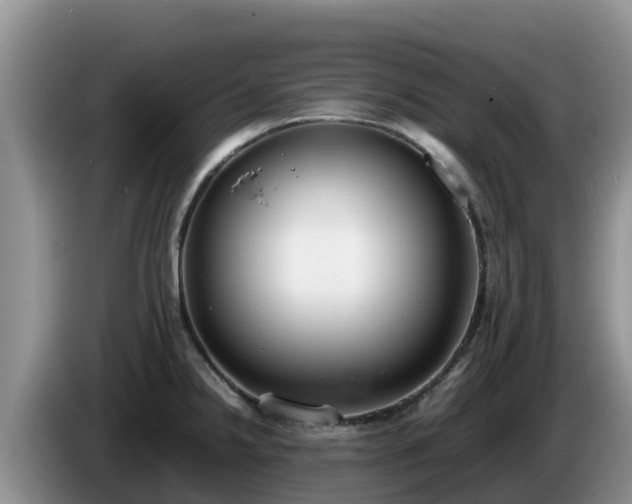 X0000086241238200704051212