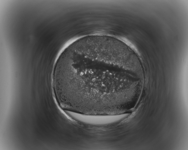 X0000086241239200704051212