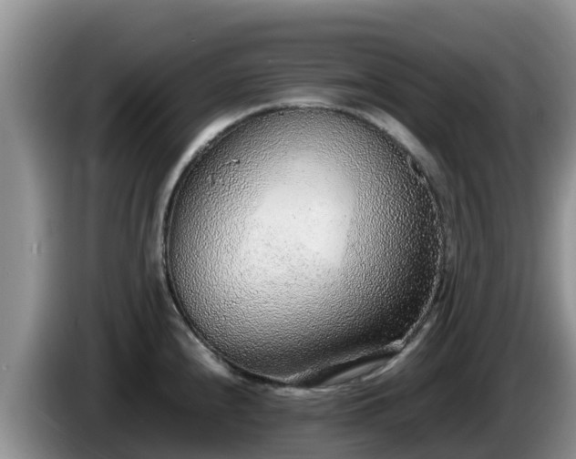 X0000086241240200704051212