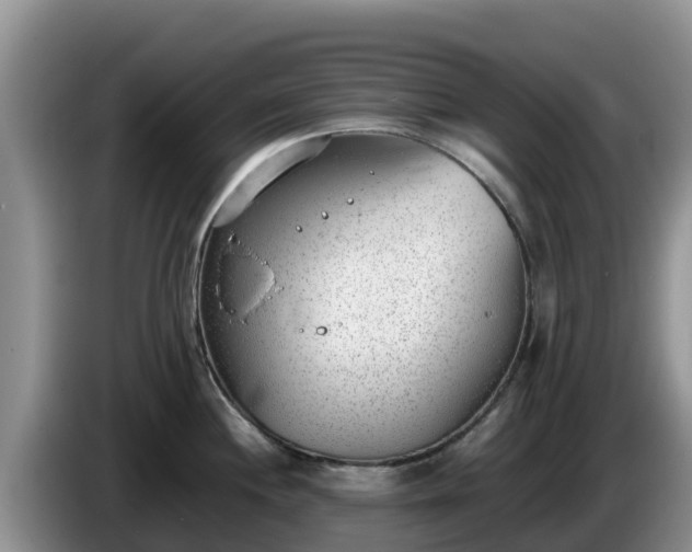 X0000086241244200704051212