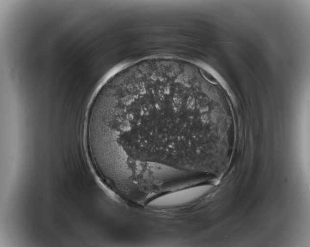 X0000086241245200704051212