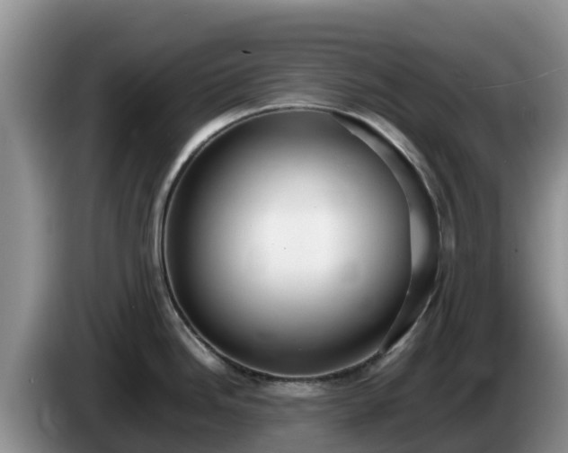X0000086241246200704051212