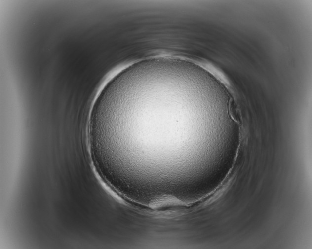 X0000086241247200704051212