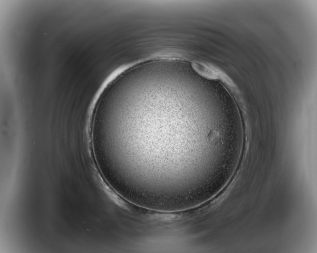 X0000086241248200704051212