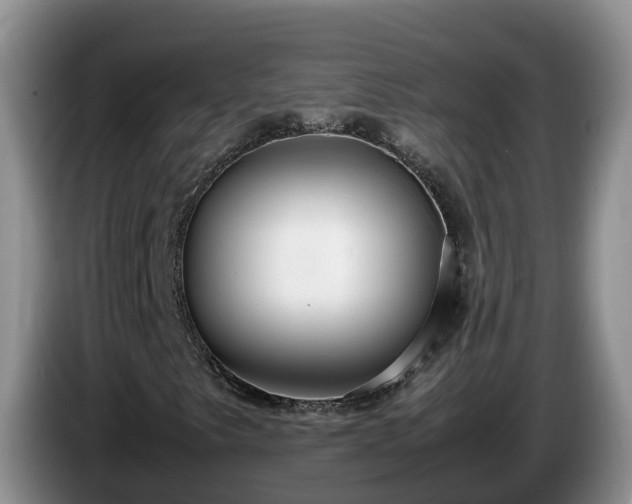 X0000086241249200704051211