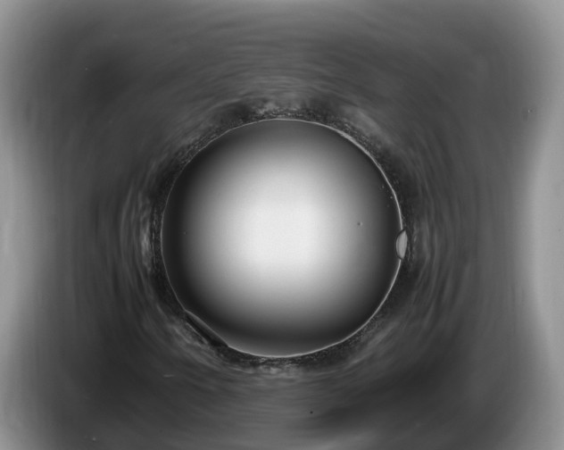 X0000086241250200704051211