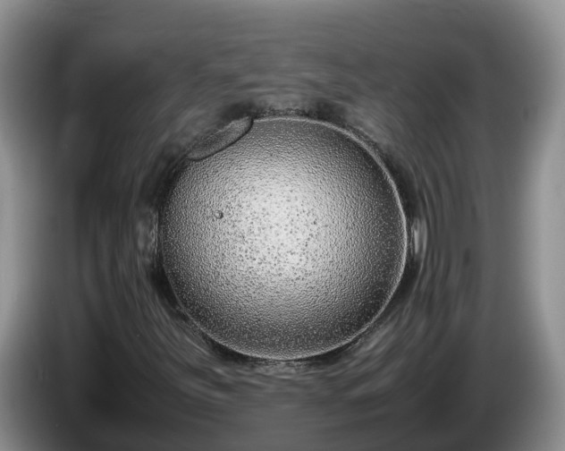 X0000086241251200704051211