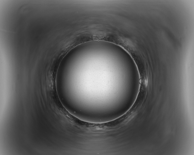 X0000086241252200704051211