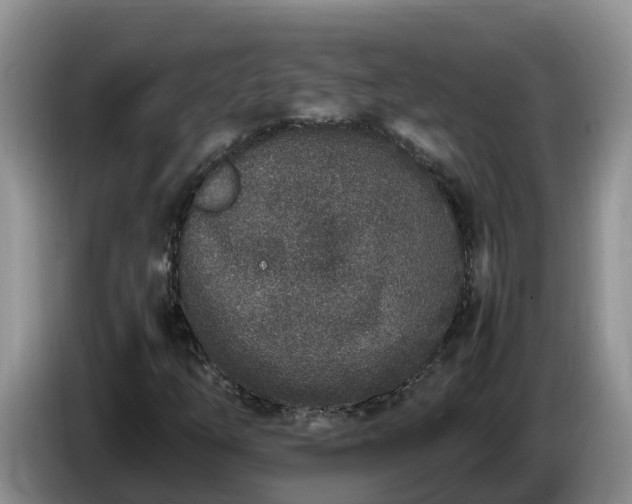 X0000086241254200704051211