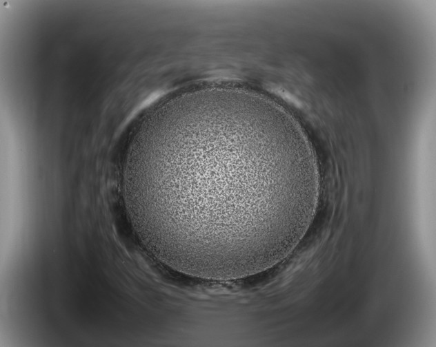 X0000086241255200704051211