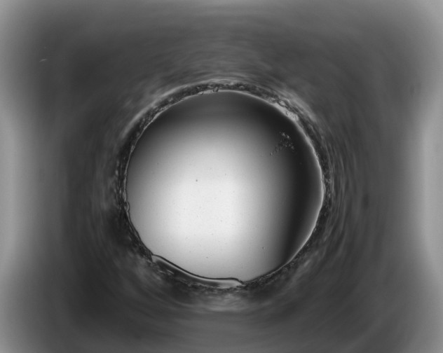 X0000086241256200704051211