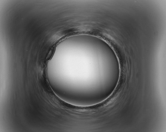 X0000086241257200704051211