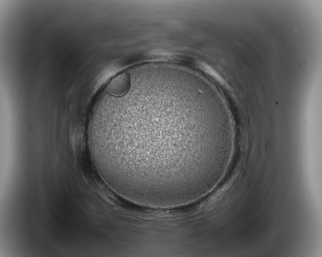 X0000086241259200704051211